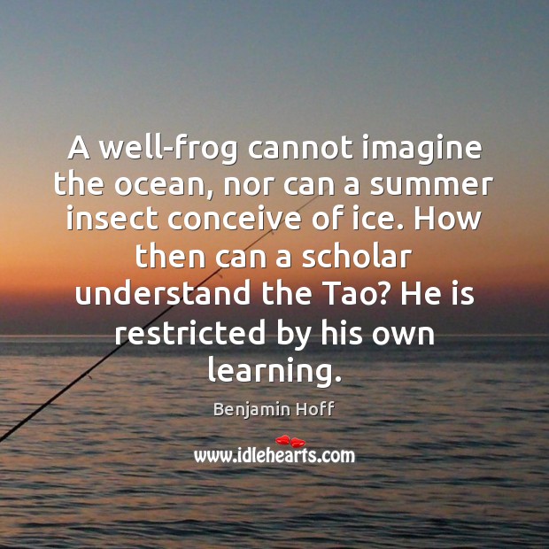 A well-frog cannot imagine the ocean, nor can a summer insect conceive Summer Quotes Image