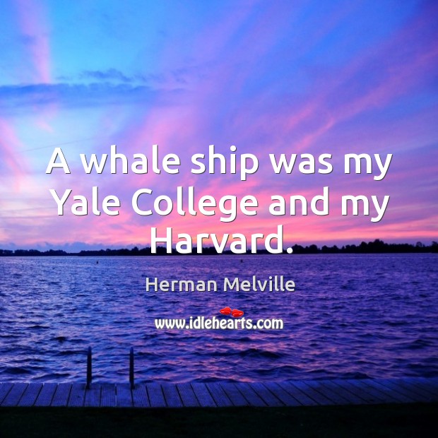 A whale ship was my yale college and my harvard. Herman Melville Picture Quote