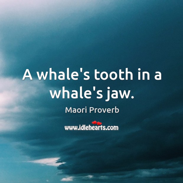 A whale’s tooth in a whale’s jaw. Maori Proverbs Image