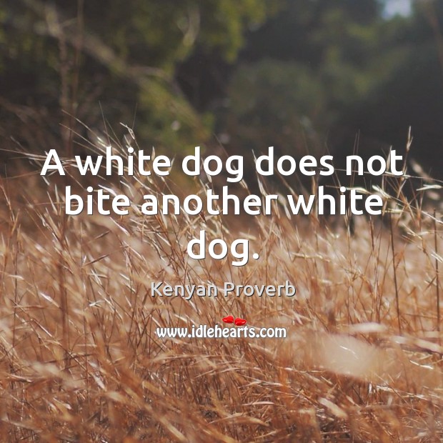 A white dog does not bite another white dog. Kenyan Proverbs Image