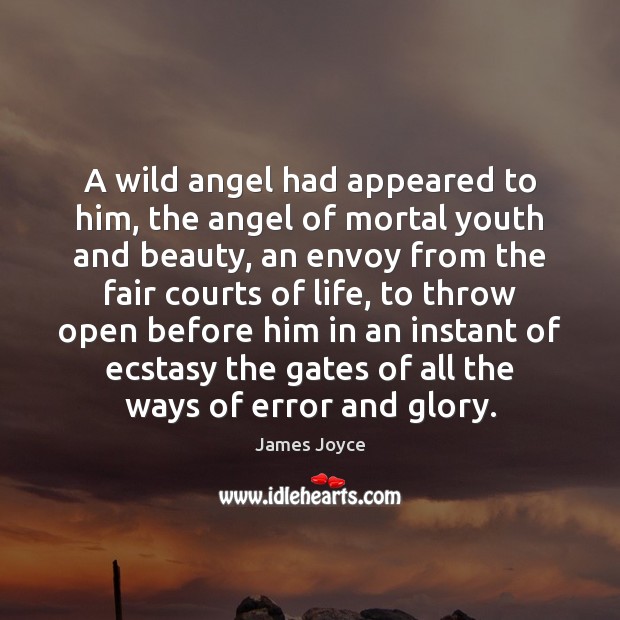 A wild angel had appeared to him, the angel of mortal youth James Joyce Picture Quote