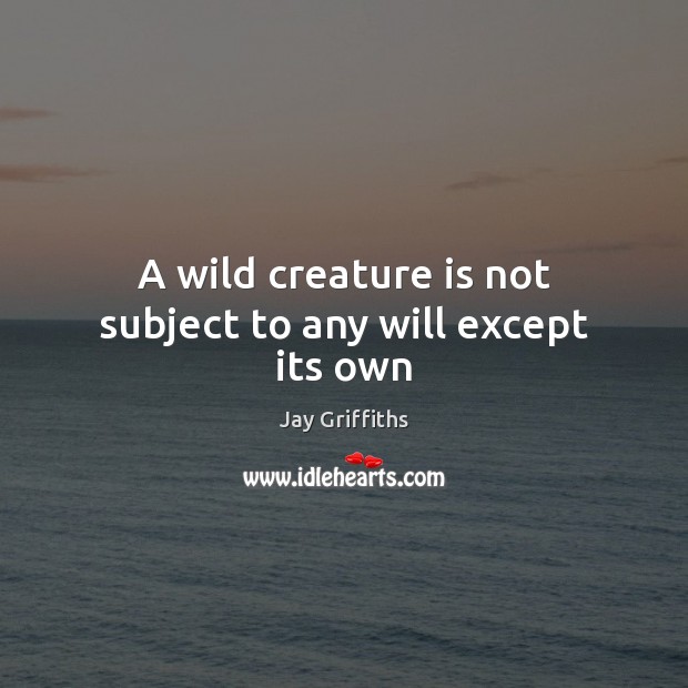 A wild creature is not subject to any will except its own Jay Griffiths Picture Quote