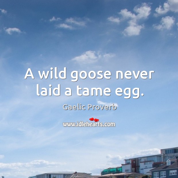 A wild goose never laid a tame egg. Gaelic Proverbs Image