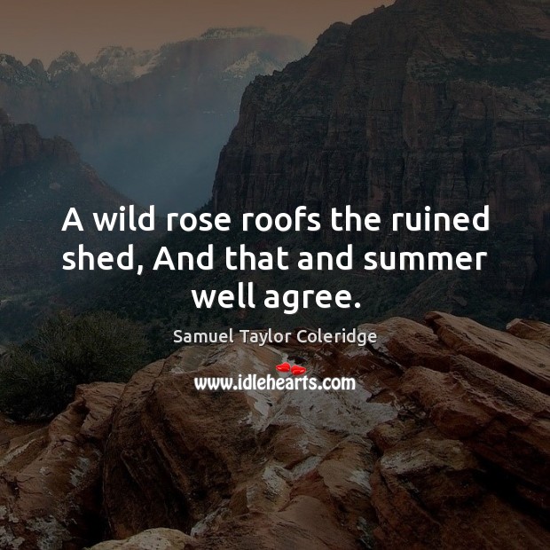 A wild rose roofs the ruined shed, And that and summer well agree. Samuel Taylor Coleridge Picture Quote