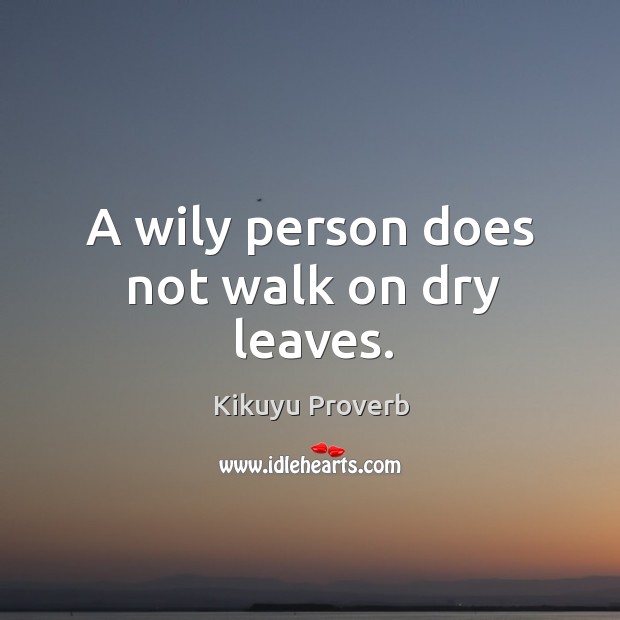 A wily person does not walk on dry leaves. Kikuyu Proverbs Image