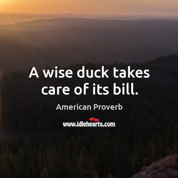 A wise duck takes care of its bill. Image