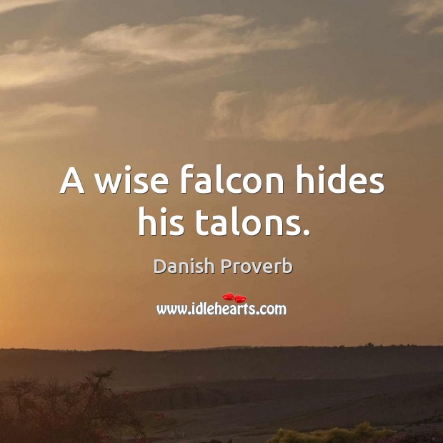 A wise falcon hides his talons. Image
