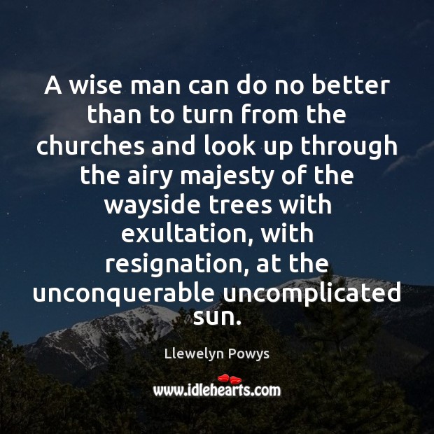 A wise man can do no better than to turn from the Llewelyn Powys Picture Quote