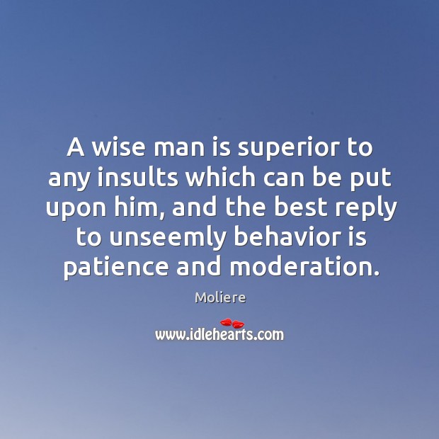 A wise man is superior to any insults which can be put upon him, and the best reply Moliere Picture Quote