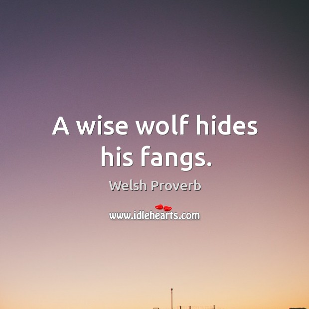 A wise wolf hides his fangs. Welsh Proverbs Image