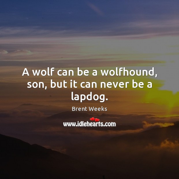 A wolf can be a wolfhound, son, but it can never be a lapdog. Brent Weeks Picture Quote