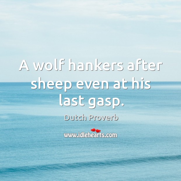 A wolf hankers after sheep even at his last gasp. Dutch Proverbs Image