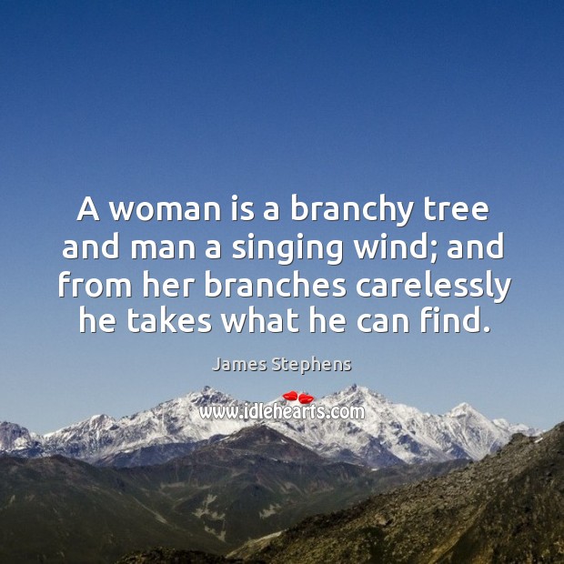 A woman is a branchy tree and man a singing wind; and from her branches carelessly he takes what he can find. James Stephens Picture Quote