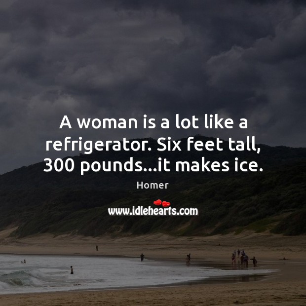 A woman is a lot like a refrigerator. Six feet tall, 300 pounds…it makes ice. Homer Picture Quote
