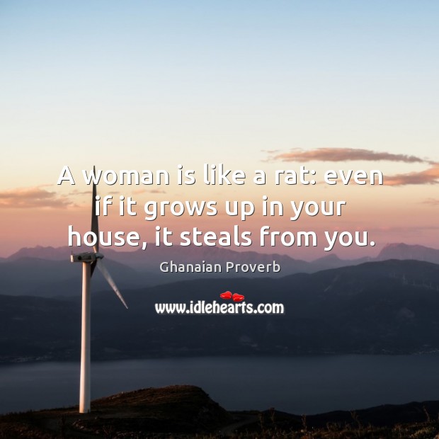 A woman is like a rat: even if it grows up in your house, it steals from you. Ghanaian Proverbs Image
