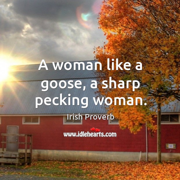 A woman like a goose, a sharp pecking woman. Irish Proverbs Image