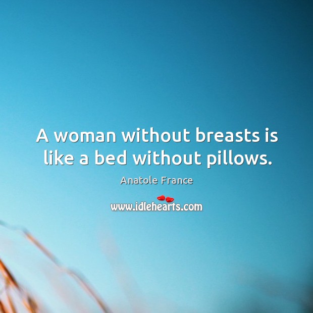 A woman without breasts is like a bed without pillows. Anatole France Picture Quote
