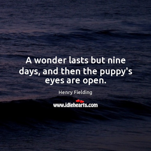 A wonder lasts but nine days, and then the puppy’s eyes are open. Henry Fielding Picture Quote