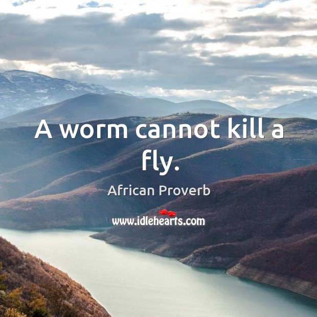 A worm cannot kill a fly. African Proverbs Image