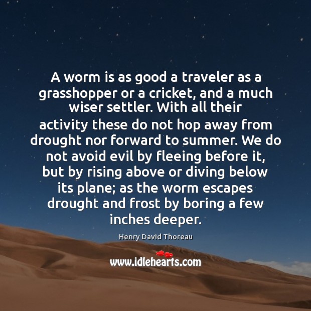 A worm is as good a traveler as a grasshopper or a Henry David Thoreau Picture Quote