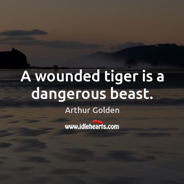 A wounded tiger is a dangerous beast. Arthur Golden Picture Quote