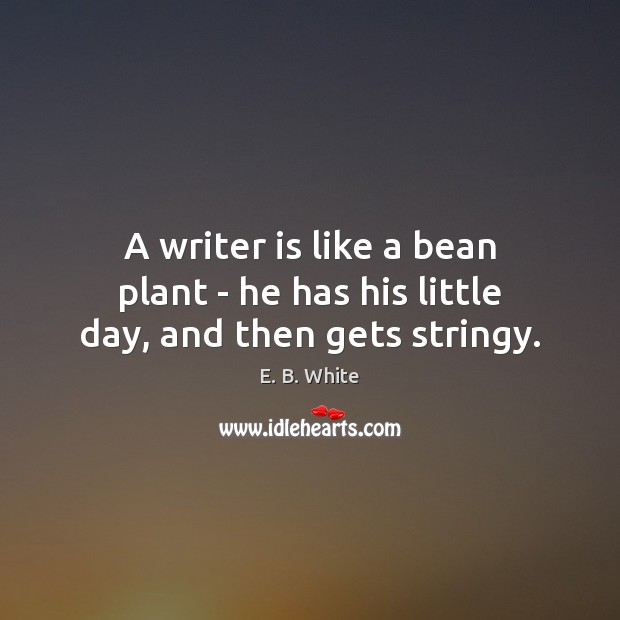 A writer is like a bean plant – he has his little day, and then gets stringy. E. B. White Picture Quote