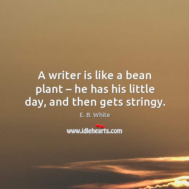 A writer is like a bean plant – he has his little day, and then gets stringy. Image