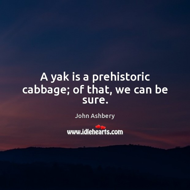 A yak is a prehistoric cabbage; of that, we can be sure. Image