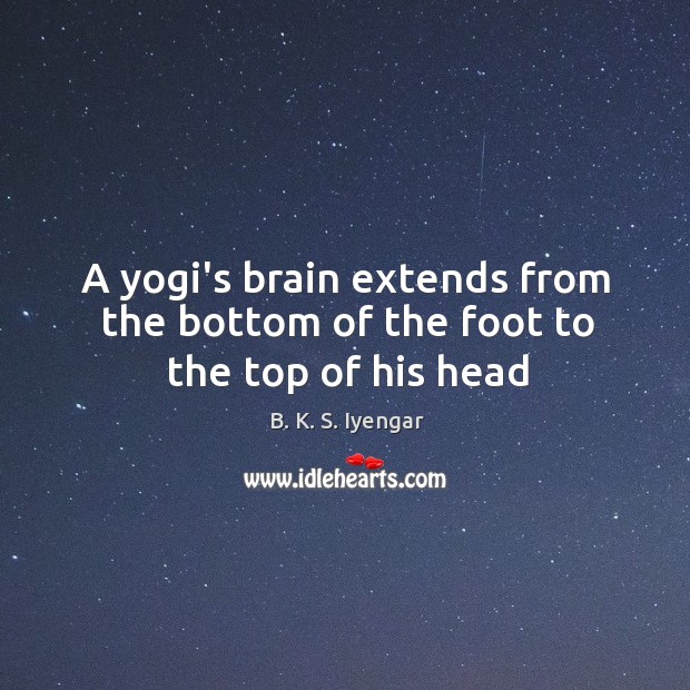 A yogi’s brain extends from the bottom of the foot to the top of his head B. K. S. Iyengar Picture Quote
