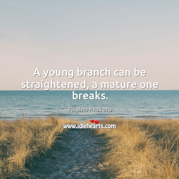A young branch can be straightened, a mature one breaks. Filipino Proverbs Image
