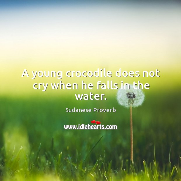 A young crocodile does not cry when he falls in the water. Sudanese Proverbs Image