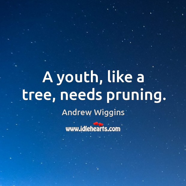 A youth, like a tree, needs pruning. Image