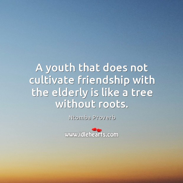 A youth that does not cultivate friendship with the elderly is like a tree without roots. Ntomba Proverbs Image