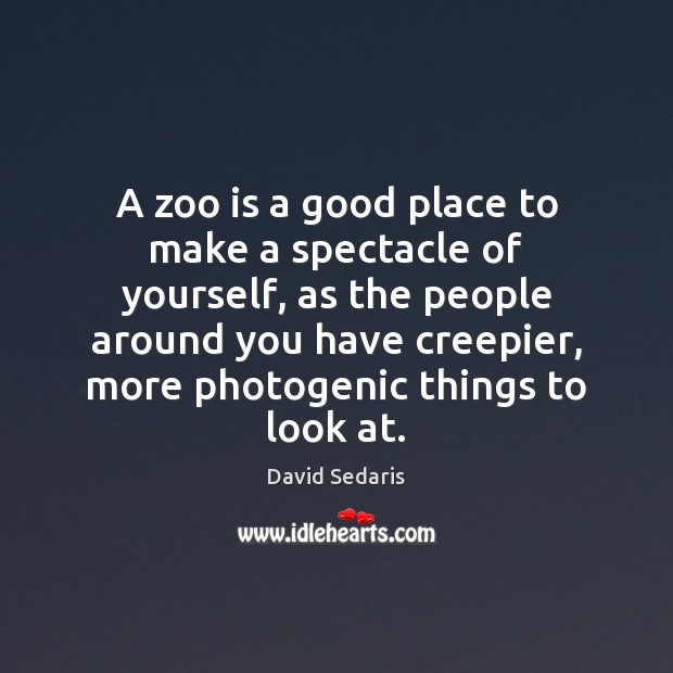 A zoo is a good place to make a spectacle of yourself, David Sedaris Picture Quote