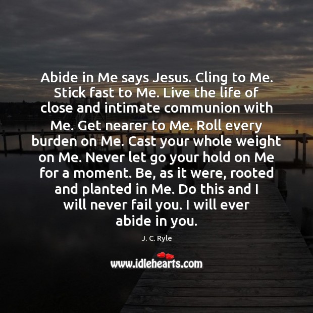Abide in Me says Jesus. Cling to Me. Stick fast to Me. Image