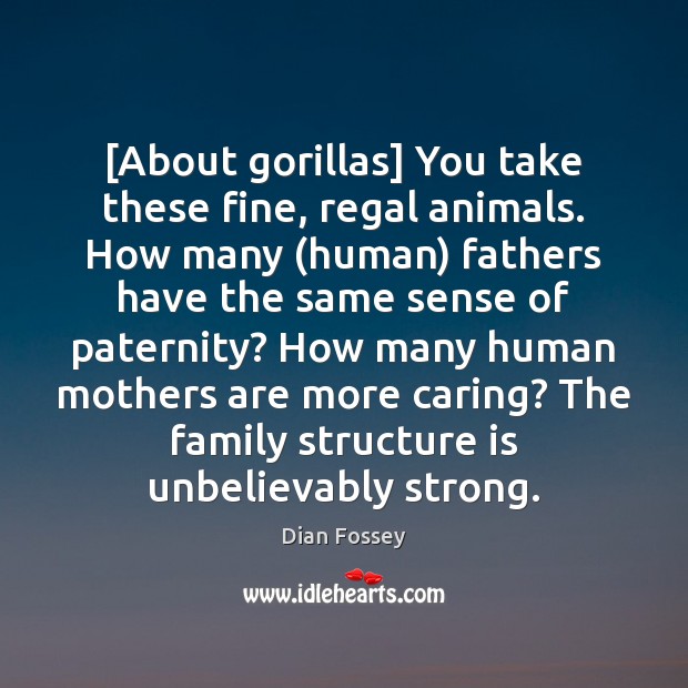[About gorillas] You take these fine, regal animals. How many (human) fathers Dian Fossey Picture Quote