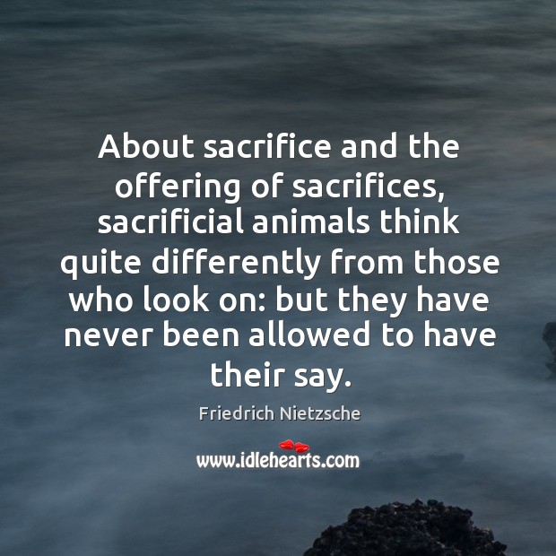 About sacrifice and the offering of sacrifices, sacrificial animals think quite differently. Image