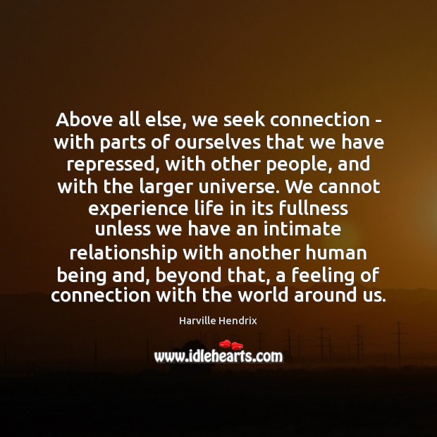 Above all else, we seek connection – with parts of ourselves that Harville Hendrix Picture Quote