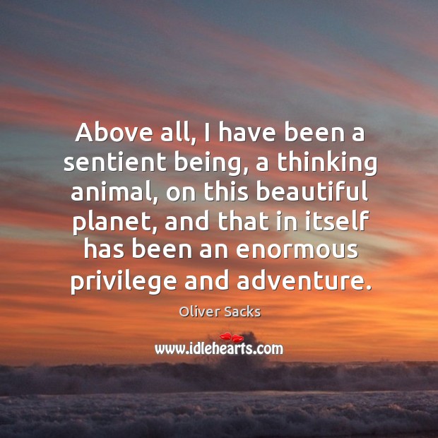 Above all, I have been a sentient being, a thinking animal, on Oliver Sacks Picture Quote