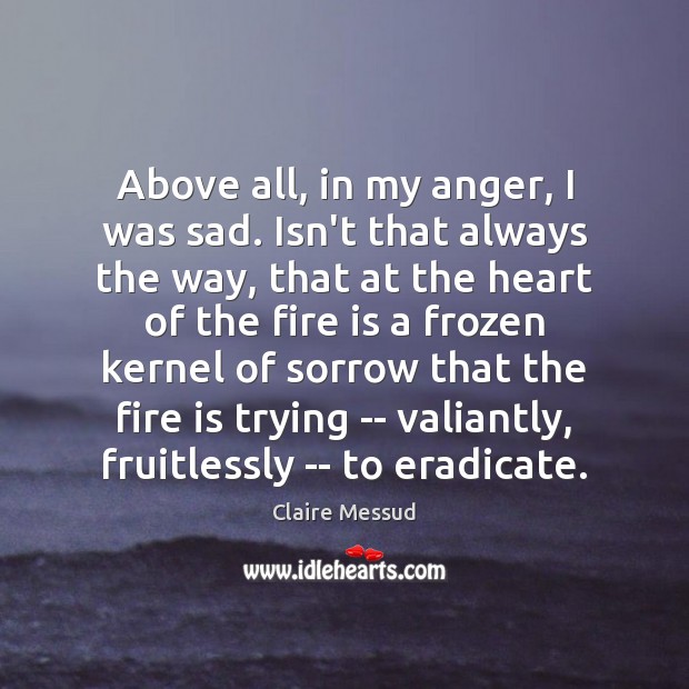 Above all, in my anger, I was sad. Isn’t that always the Claire Messud Picture Quote