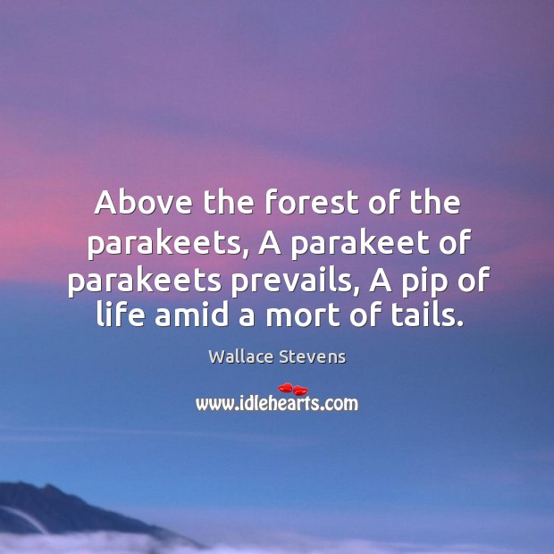 Above the forest of the parakeets, A parakeet of parakeets prevails, A Wallace Stevens Picture Quote