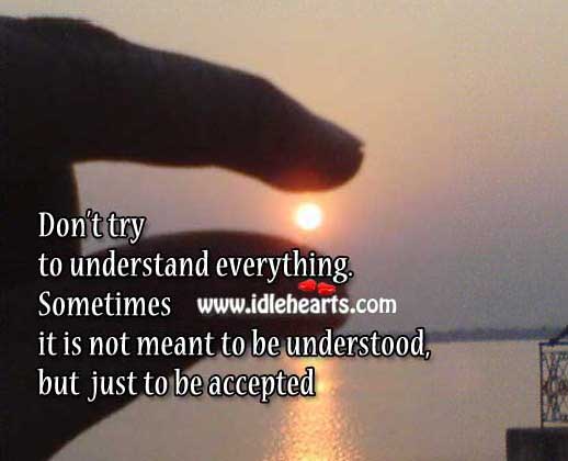 Don’t try to understand everything. Image