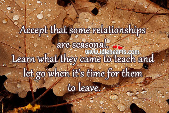 Accept that some relationships are seasonal. Image