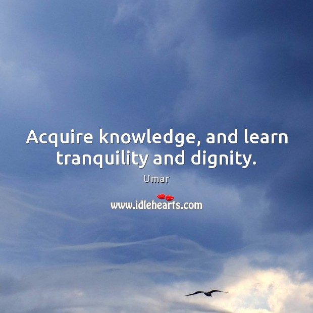 Acquire knowledge, and learn tranquility and dignity. Umar Picture Quote