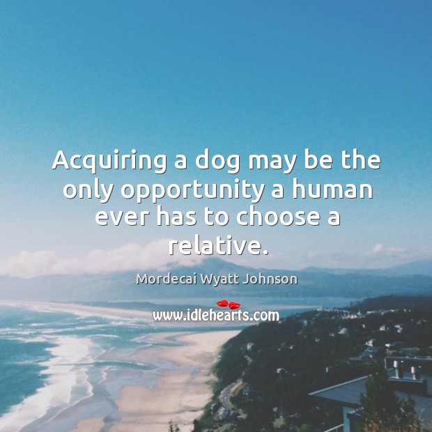 Acquiring a dog may be the only opportunity a human ever has to choose a relative. Mordecai Wyatt Johnson Picture Quote