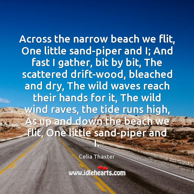 Across the narrow beach we flit, One little sand-piper and I; And Celia Thaxter Picture Quote