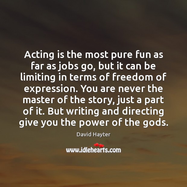 Acting is the most pure fun as far as jobs go, but David Hayter Picture Quote