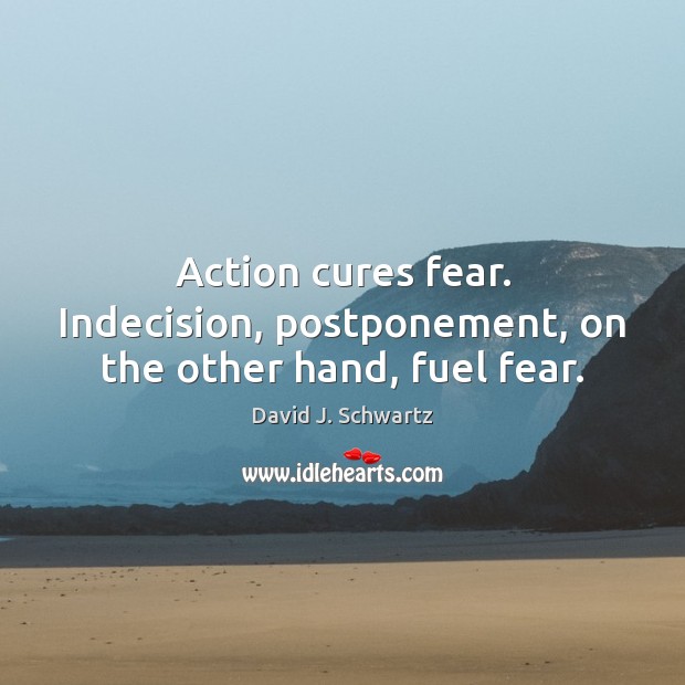 Action cures fear. Indecision, postponement, on the other hand, fuel fear. David J. Schwartz Picture Quote