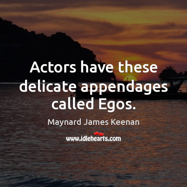 Actors have these delicate appendages called Egos. Maynard James Keenan Picture Quote