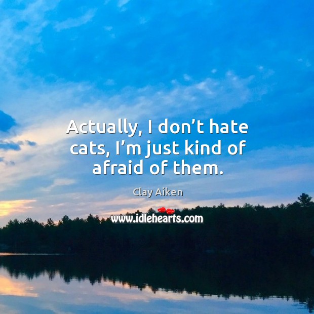 Actually, I don’t hate cats, I’m just kind of afraid of them. Clay Aiken Picture Quote